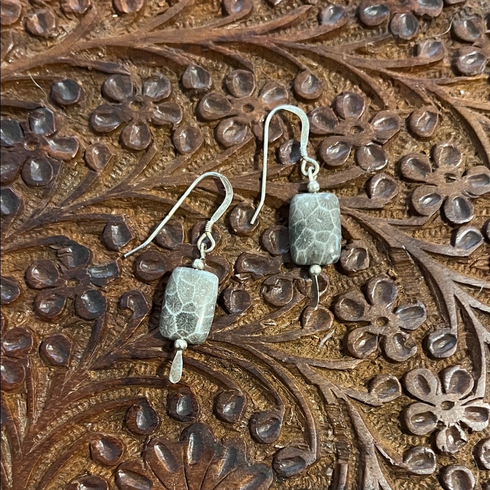 Elegant Petoskey Stone Silver Dangle Earrings